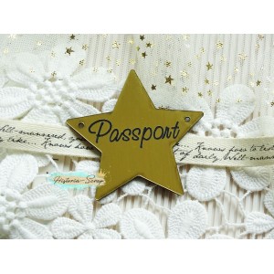 Бирка пластиковая для обложки на паспорт "Звезда" ENG, цвет золото, 60*60 мм