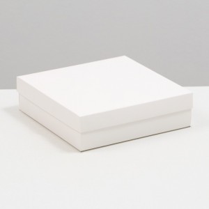 Коробка подарочная крышка-дно, цв. белый, 23 х 23 х 6,5 см